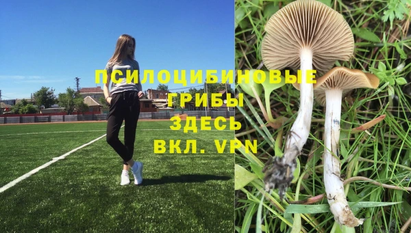 кокс Алексеевка