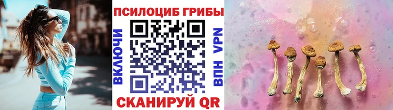 Псилоцибиновые грибы прущие грибы  наркотики  Злынка 